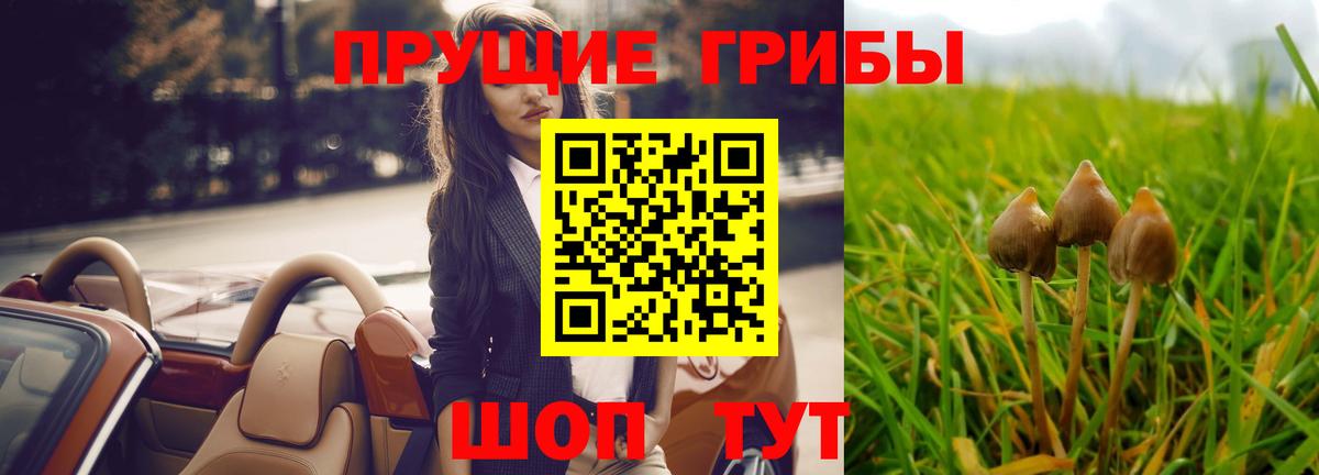 сколько стоит  Вход с VPN  Сегежа  Галлюциногенные грибы Psilocybine cubensis 