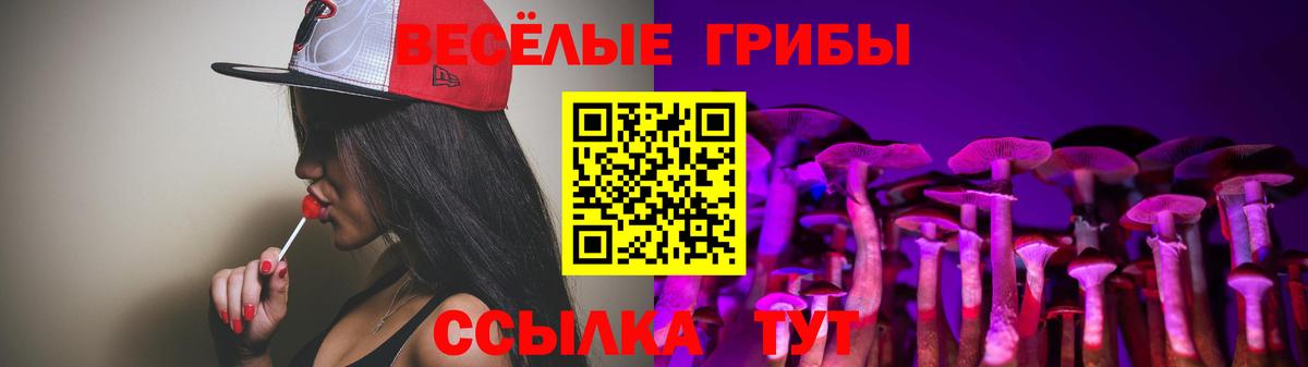 Псилоцибиновые грибы Psilocybe Сегежа